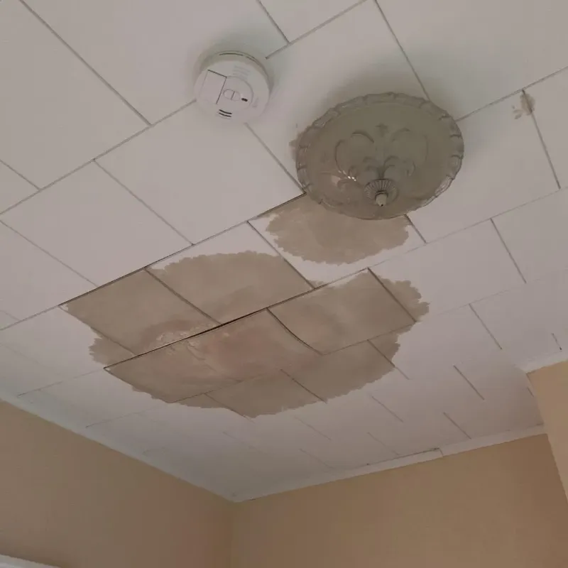 Ceiling Water Damage Repair in Pawnee County, OK